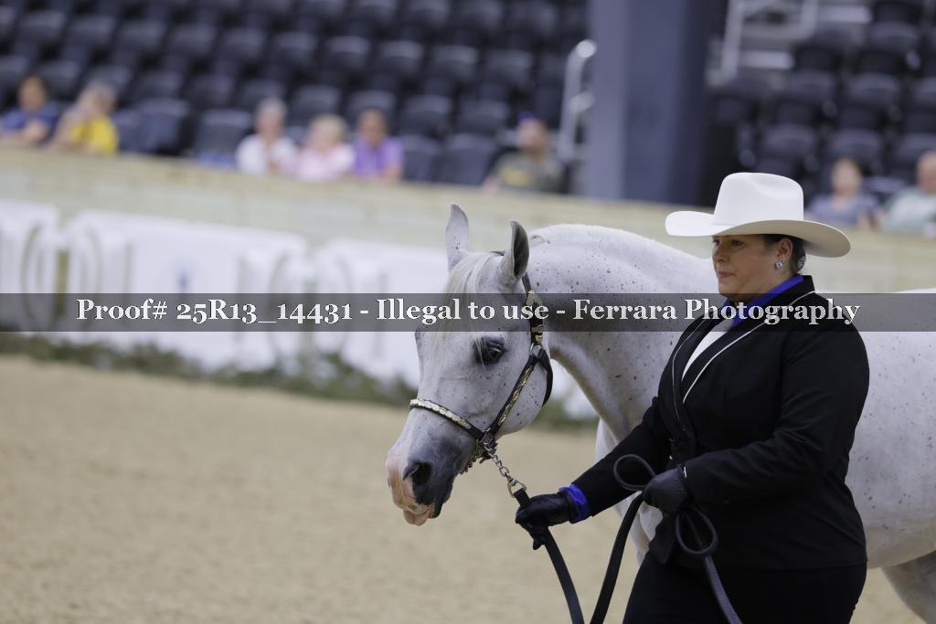 Proof Number 25R13_14431