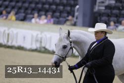 25R13_14431 thumbnail