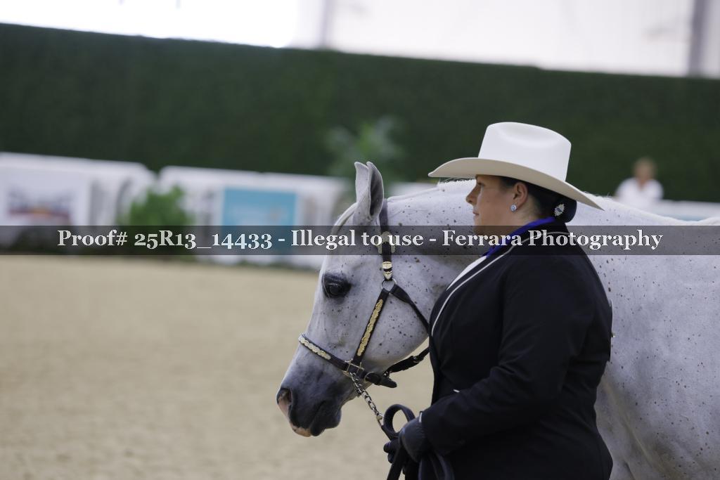 Proof Number 25R13_14433