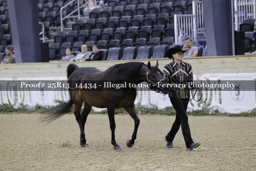 Proof Number 25R13_14434