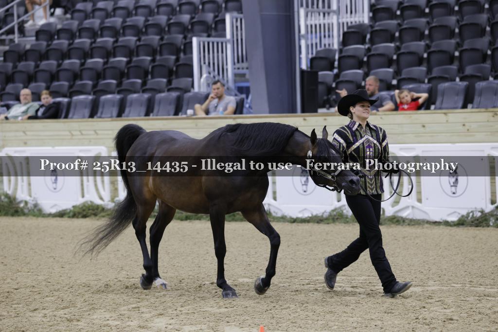 Proof Number 25R13_14435