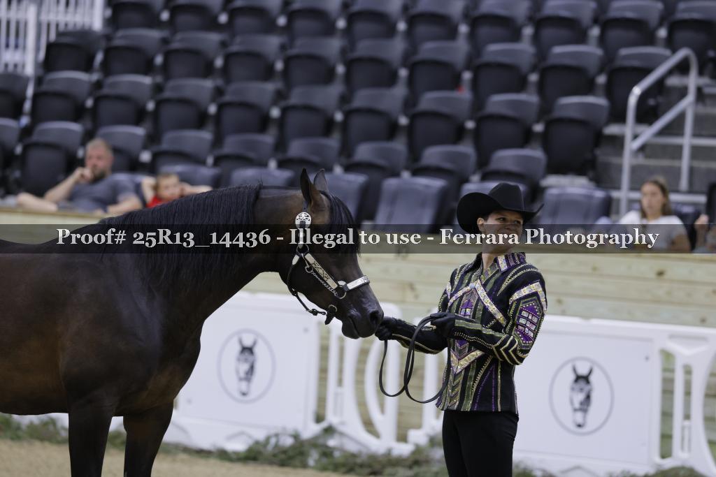 Proof Number 25R13_14436