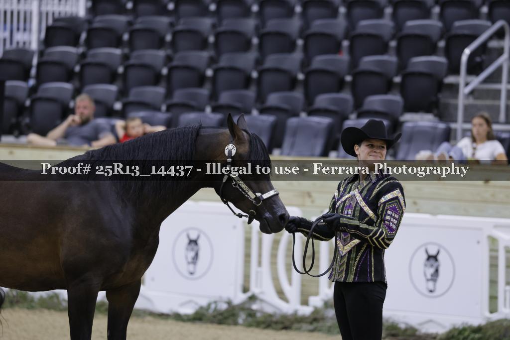 Proof Number 25R13_14437