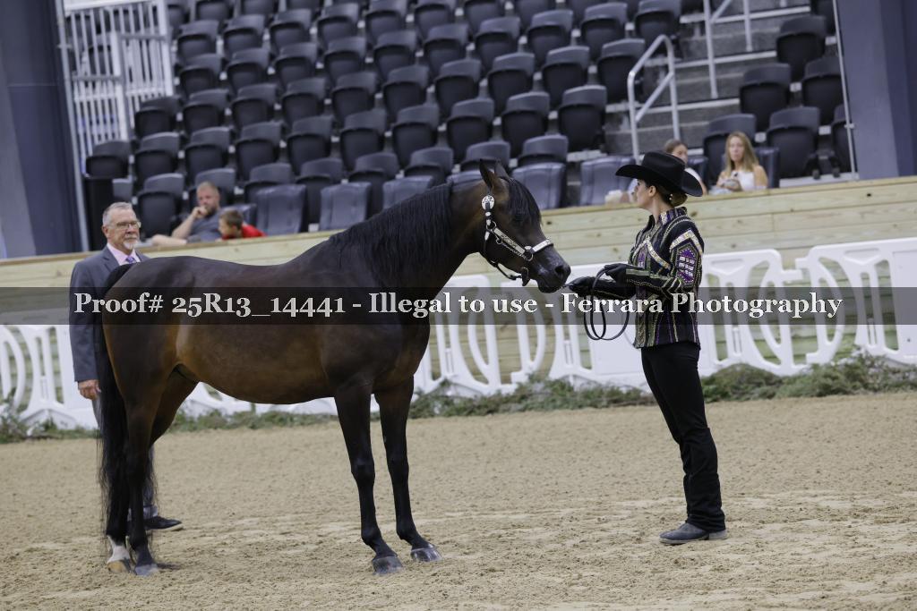 Proof Number 25R13_14441