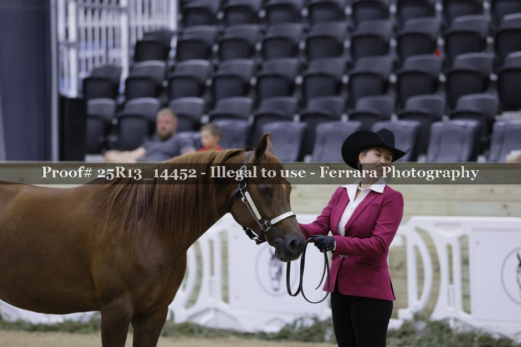 Proof Number 25R13_14452