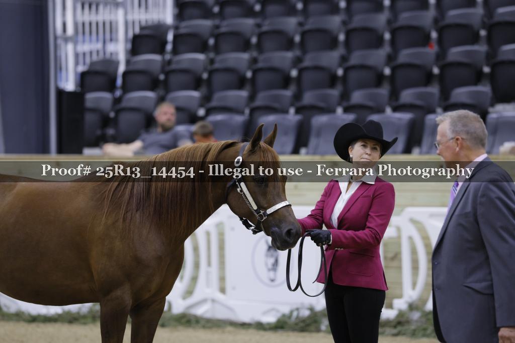 Proof Number 25R13_14454