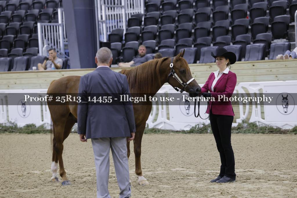 Proof Number 25R13_14455