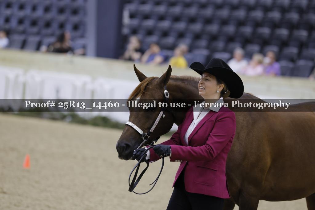 Proof Number 25R13_14460