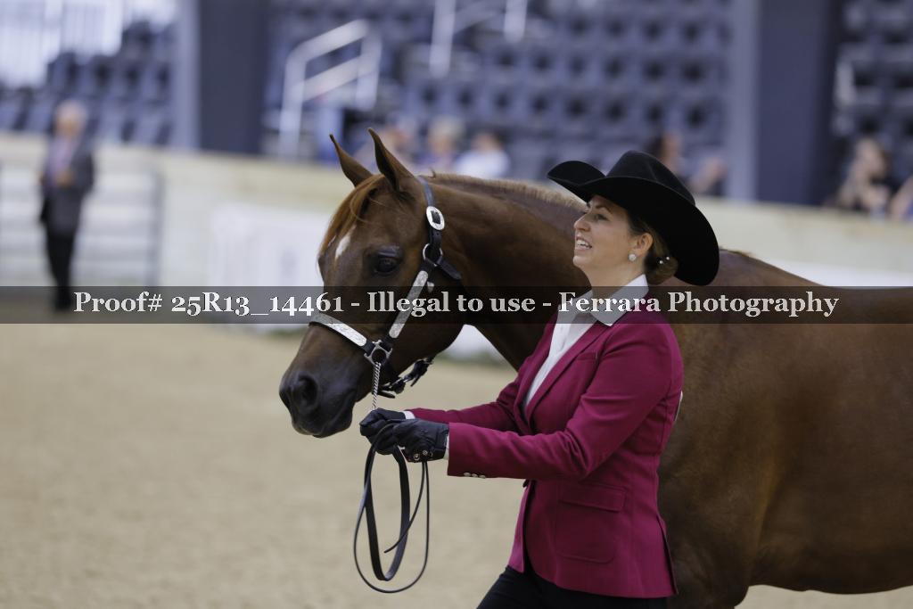 Proof Number 25R13_14461