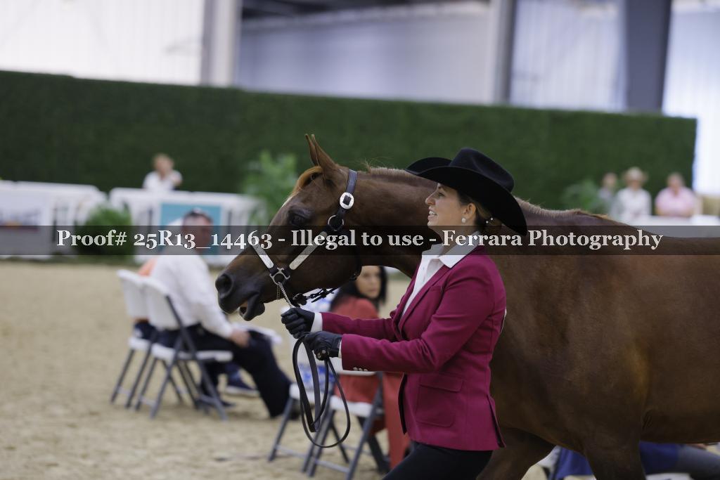 Proof Number 25R13_14463