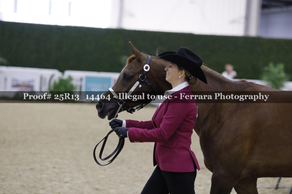 Proof Number 25R13_14464