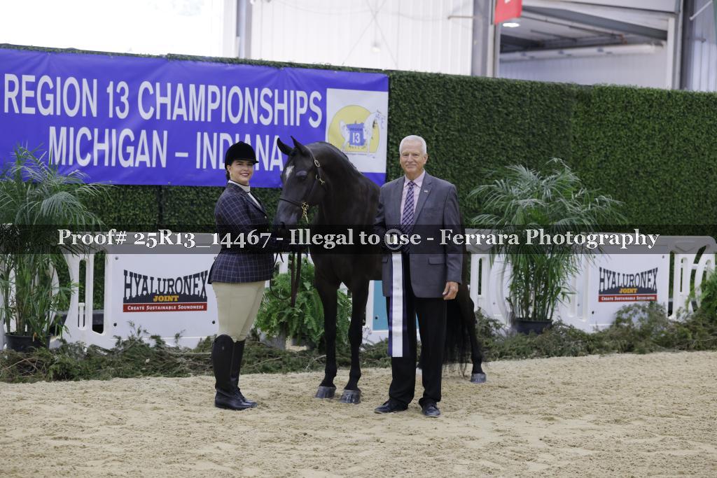 Proof Number 25R13_14467