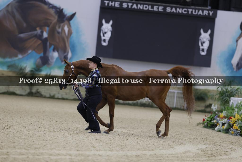 Proof Number 25R13_14498