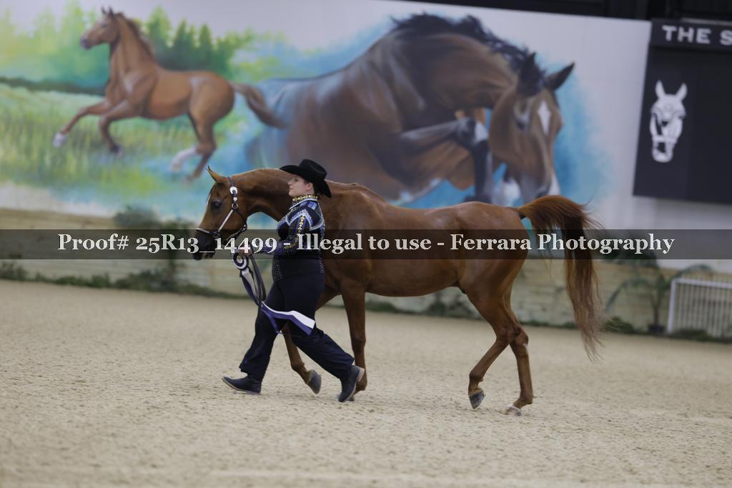 Proof Number 25R13_14499
