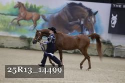 25R13_14499 thumbnail