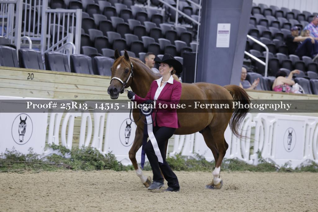 Proof Number 25R13_14515