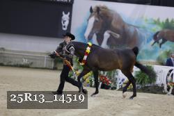 25R13_14519 thumbnail