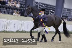 25R13_14532 thumbnail
