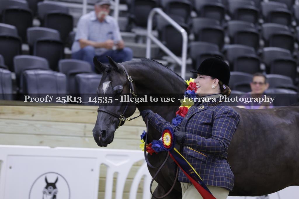 Proof Number 25R13_14535