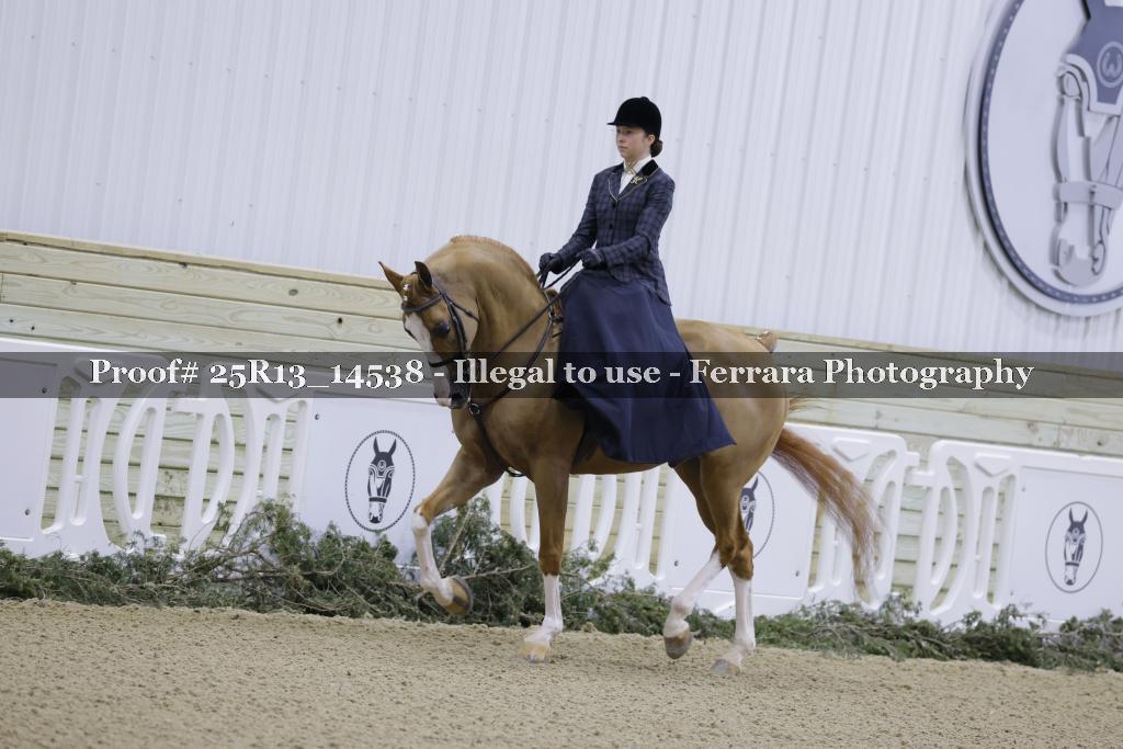 Proof Number 25R13_14538