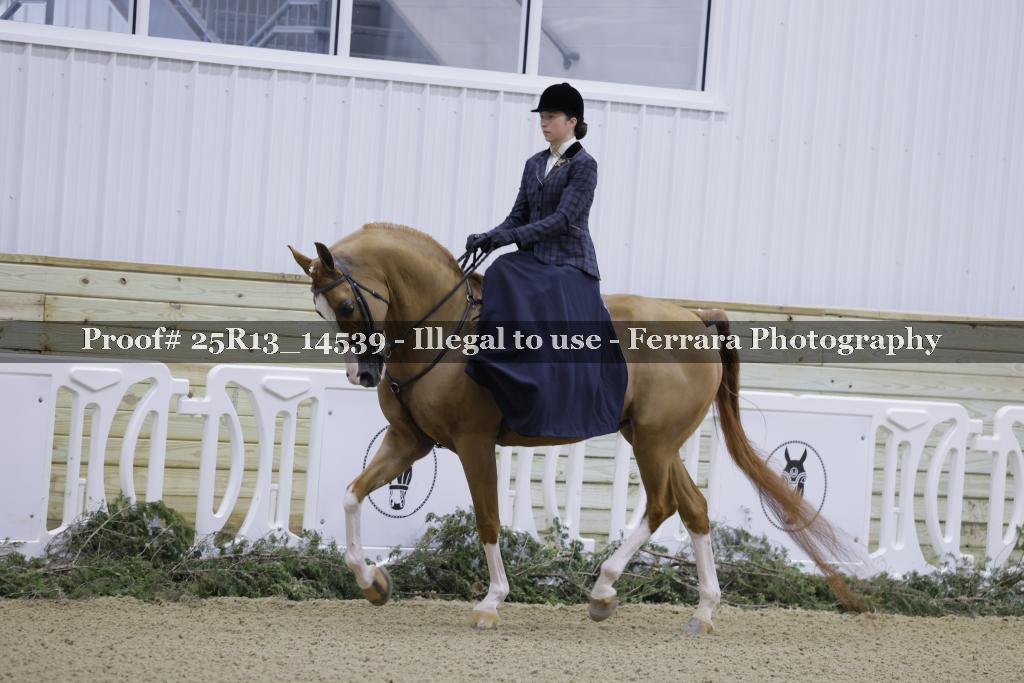 Proof Number 25R13_14539