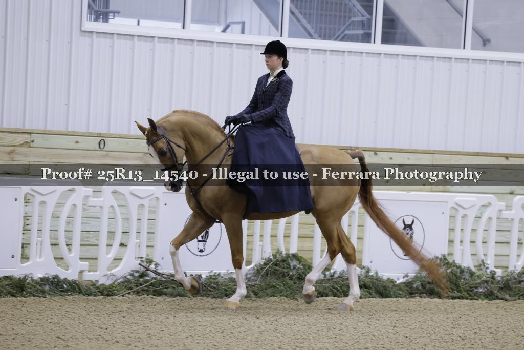 Proof Number 25R13_14540