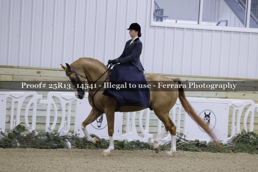 Proof Number 25R13_14541