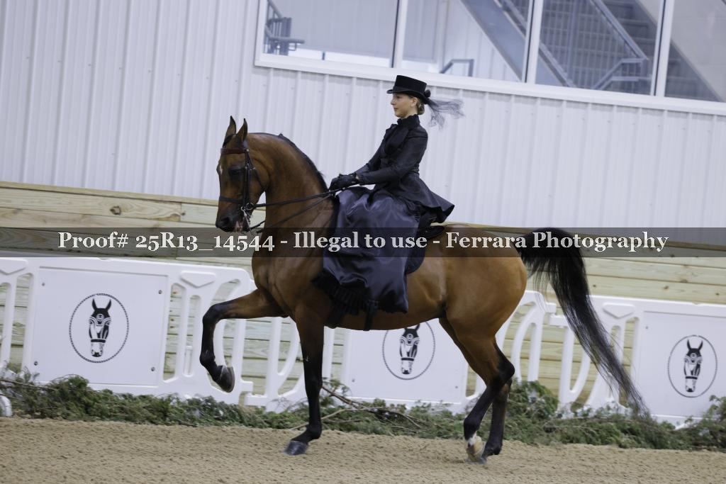 Proof Number 25R13_14544