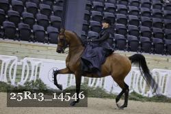 25R13_14546 thumbnail