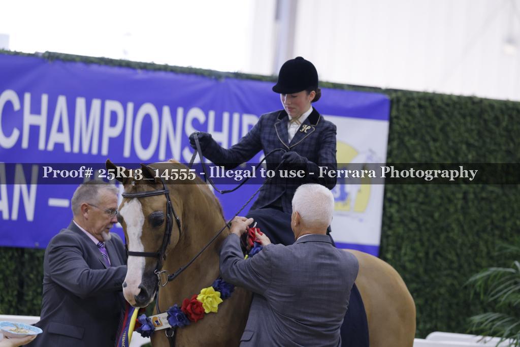 Proof Number 25R13_14555