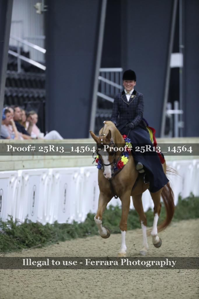 Proof Number 25R13_14564
