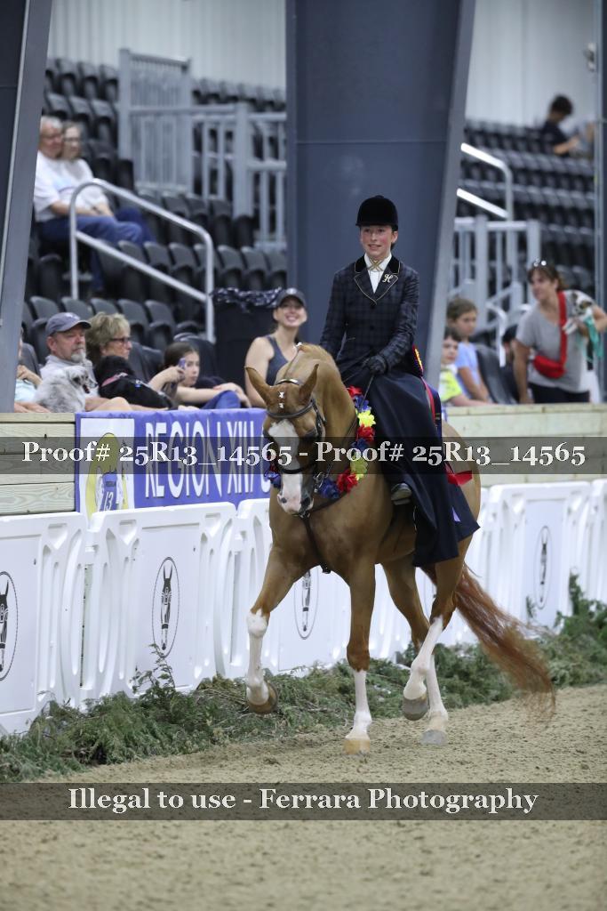Proof Number 25R13_14565
