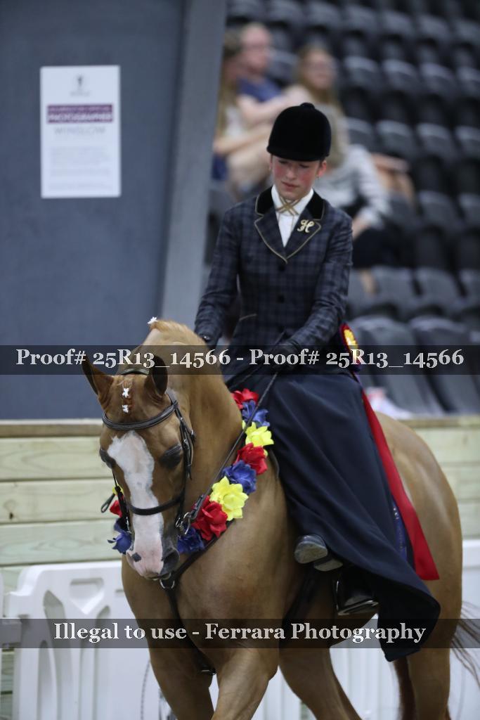 Proof Number 25R13_14566