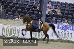 25R13_14574 thumbnail