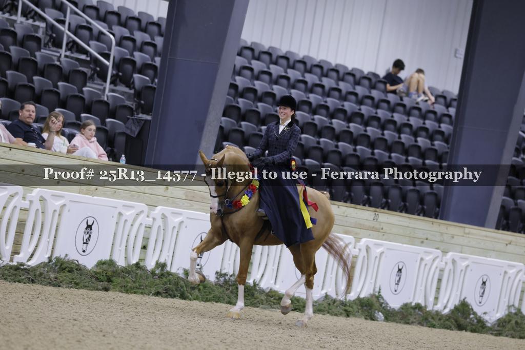 Proof Number 25R13_14577