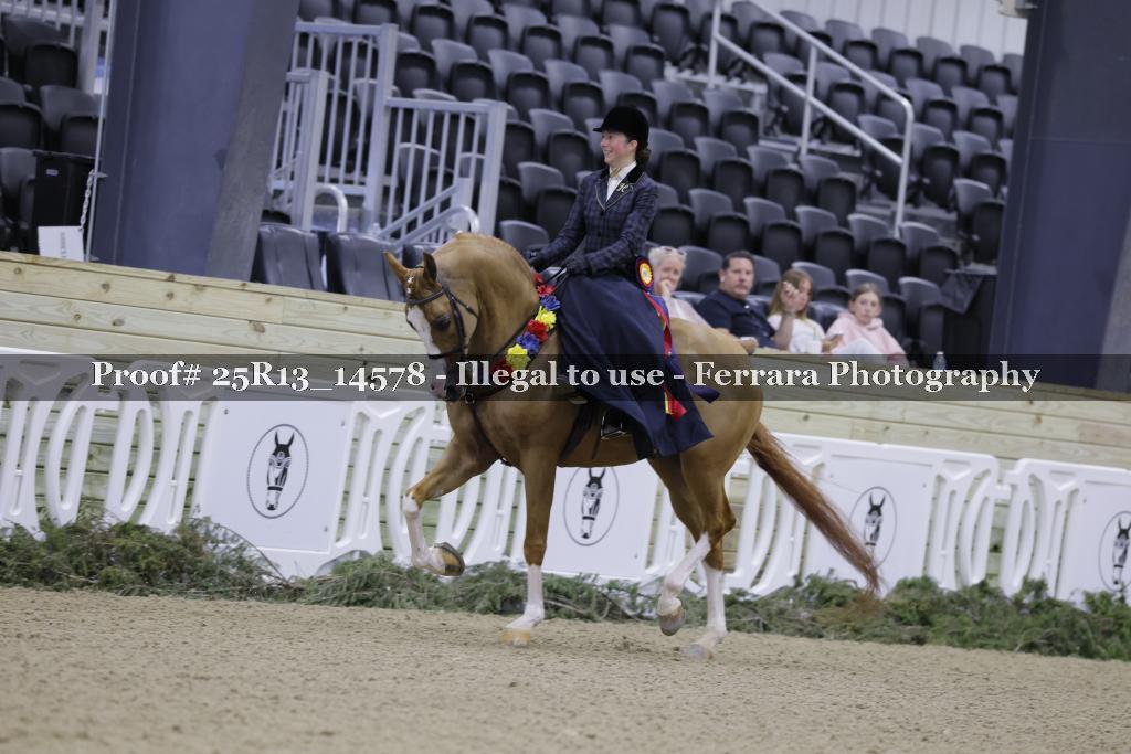 Proof Number 25R13_14578