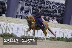 25R13_14578 thumbnail