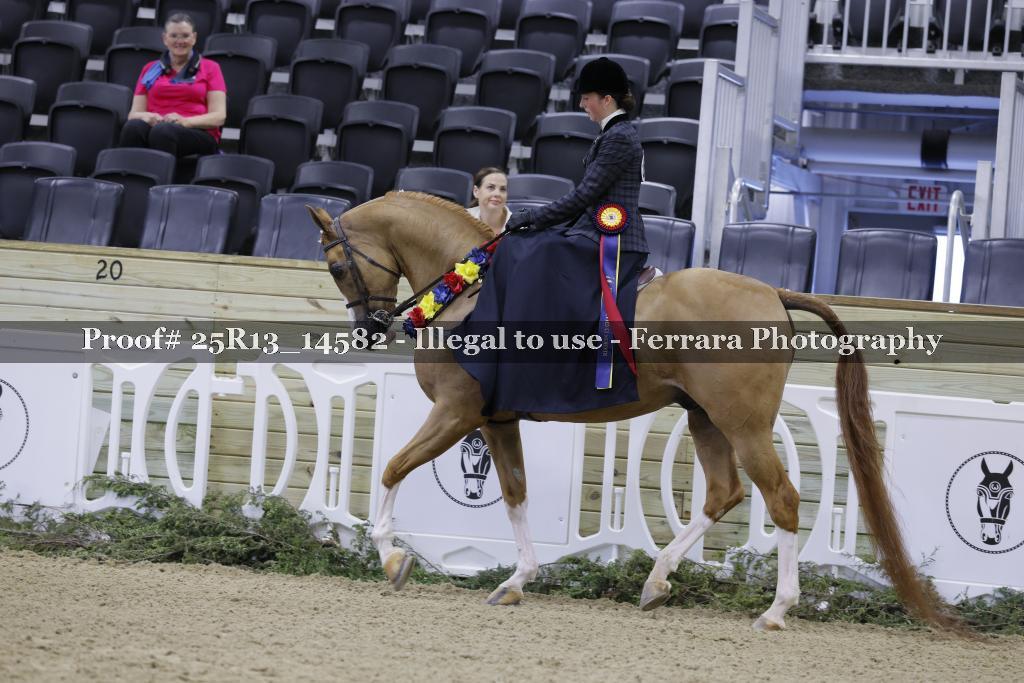 Proof Number 25R13_14582