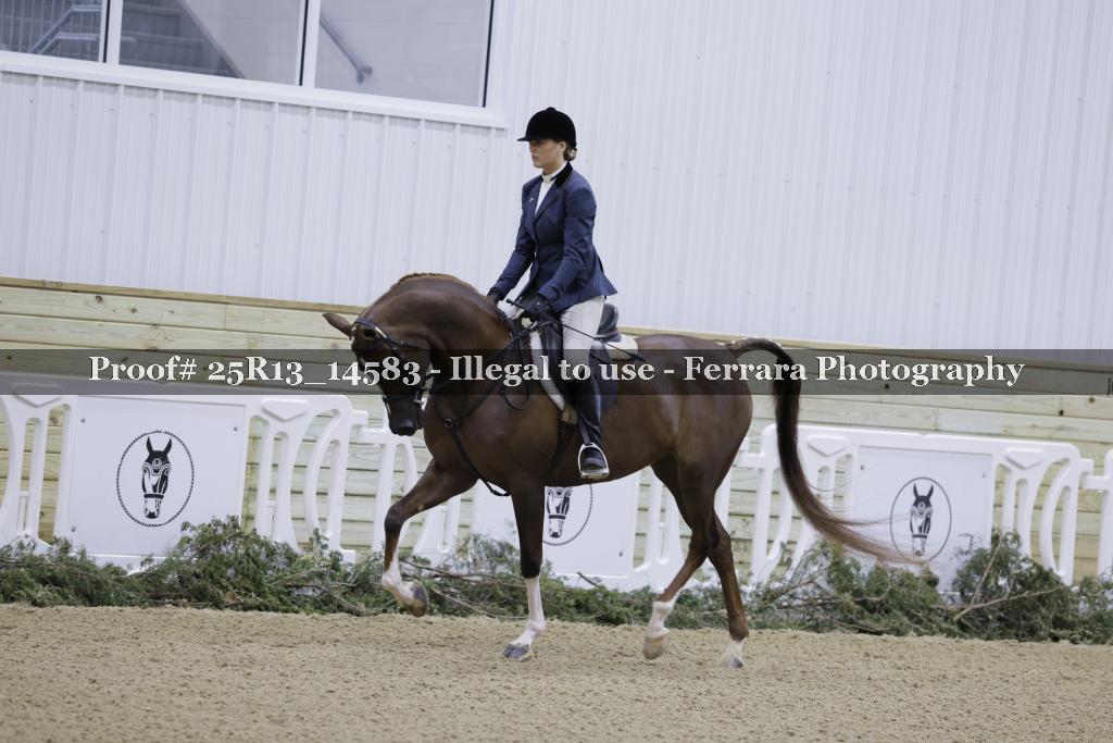 Proof Number 25R13_14583