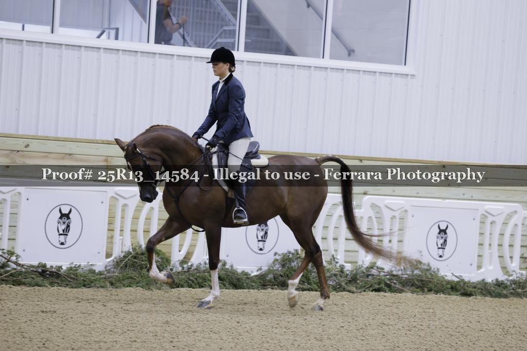 Proof Number 25R13_14584