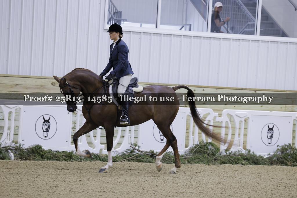 Proof Number 25R13_14585