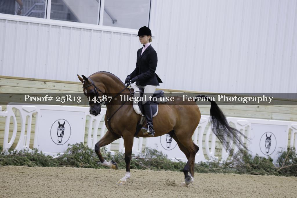 Proof Number 25R13_14587