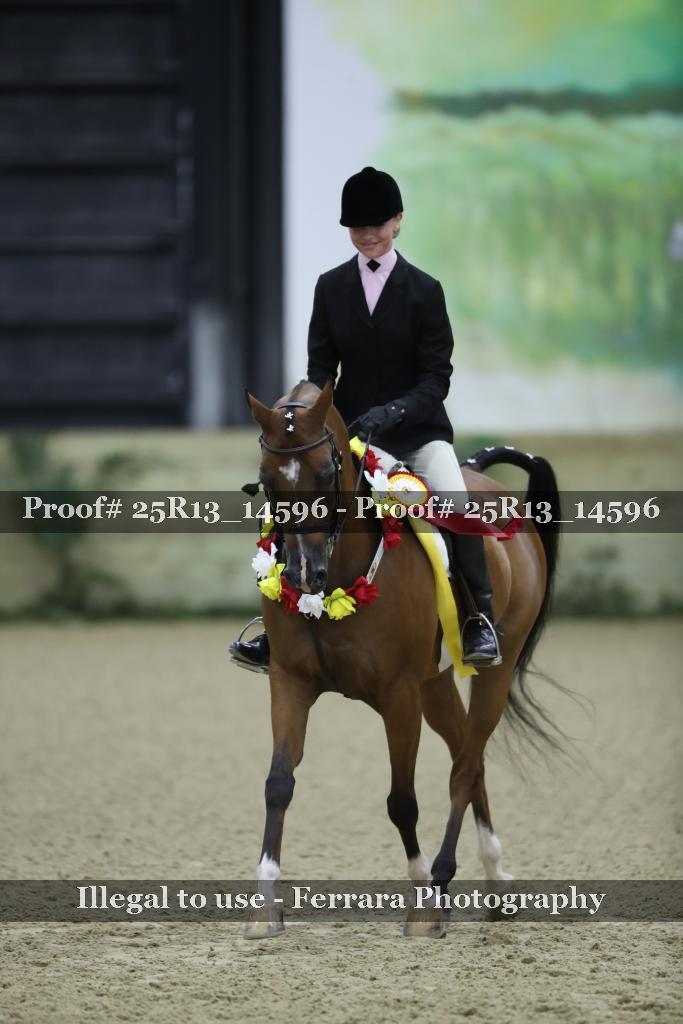Proof Number 25R13_14596