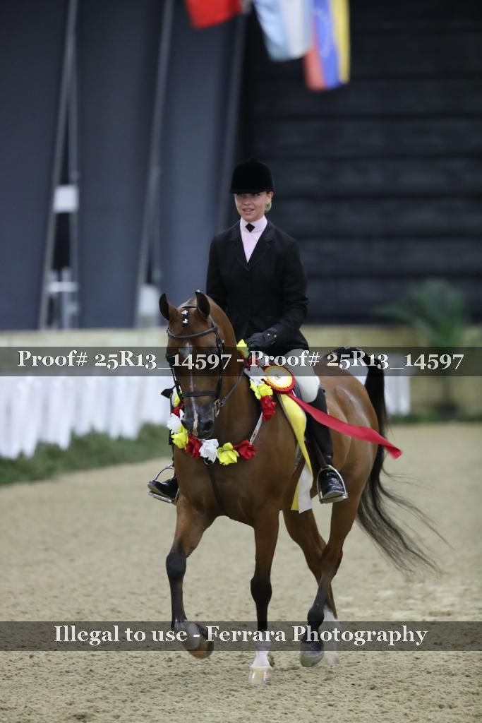 Proof Number 25R13_14597
