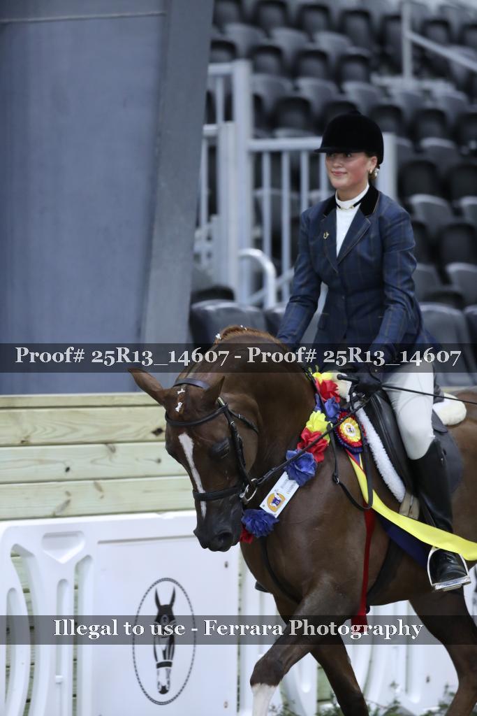 Proof Number 25R13_14607
