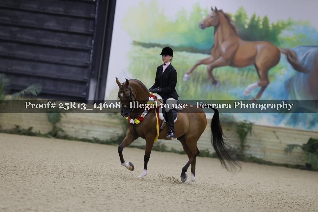 Proof Number 25R13_14608