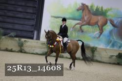 25R13_14608 thumbnail