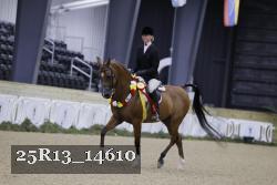 25R13_14610 thumbnail