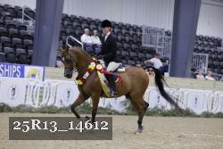 25R13_14612 thumbnail