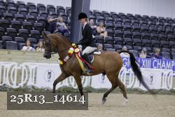 25R13_14614 thumbnail